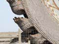 that_dug_into_sand_were_very_effective_when_the_bucketwheel_broke_down_mining__out_in_favor_of_the_shovels_and_trucks